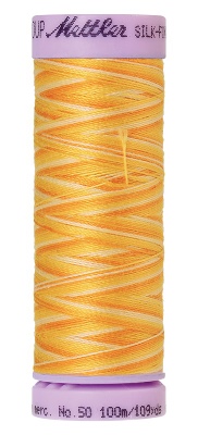 Mettler Silk Finish Cotton Multi 100M Horizon