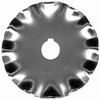 Thumb for scallop.jpg (9 KB)