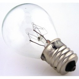 Light Bulb