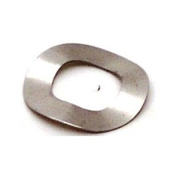 Spring Washer